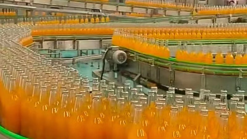 医用冻干机：如何选择优质品牌**